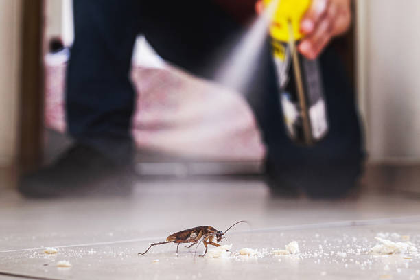 Best Wasp Removal Services  in Oxford, MS